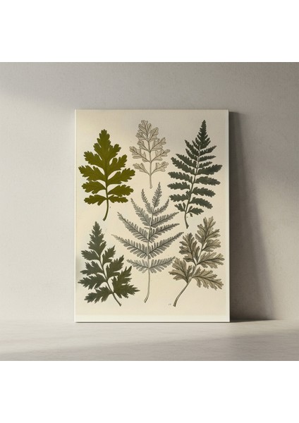 Vintage Eğrelti Otu Baskısı Botanik Illüstrasyon Tablosu fiyatları