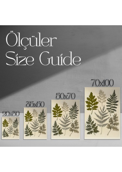 Vintage Eğrelti Otu Baskısı Botanik Illüstrasyon Tablosu modelleri