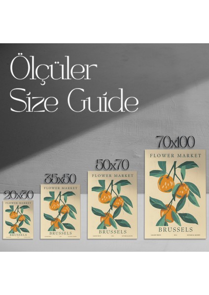 Brüksel Portakal Bahçesi Botanik Illüstrasyon Tablosu modelleri