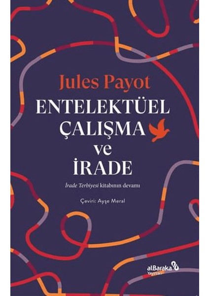 Entelektüel Çalışma ve Irade