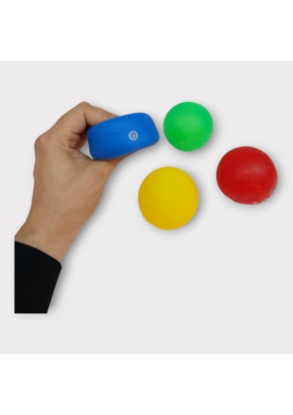 Köpek Oyuncağı - Plastik Düdüklü Top - 4 Lü Set (Lisinya) fırsatları