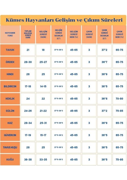 60 Yumurta Kapasiteli Tam Otomatik Kuluçka Makinesi - Civciv, Kaz, Hindi ve Ördek Yetiştiriciliği EPO-W60 ( Lisinya ) fırsatları