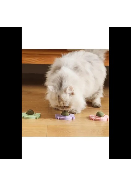 Yengeç Kedi Otu Oyun Topu fiyatları