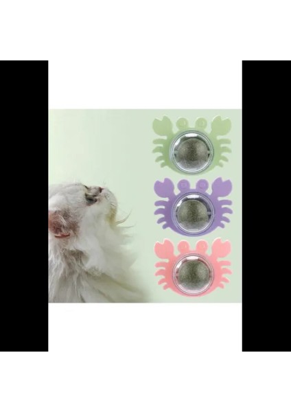 Yengeç Kedi Otu Oyun Topu fırsatları