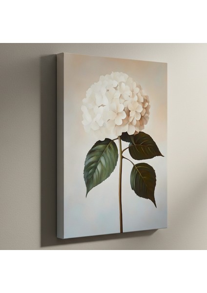 Beyaz Ortanca Çiçeği Yağlıboya Tablosu