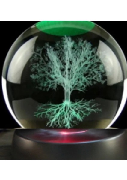 Ağaç Plastik Altlıklı Cam Küre - Lisinya