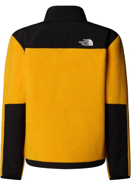 TNF0A8EJS56P1 The North Face Teen Denalı Jacket &amp;ccedil;ocuk Ceket Siyah fiyatları
