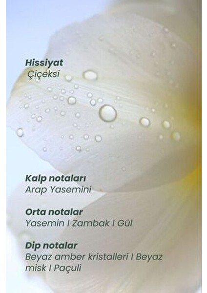 Myth Saç Parfümü Yasemin ve Gül Aromasıyla 50 ml Büyüleyici Koku indirimleri