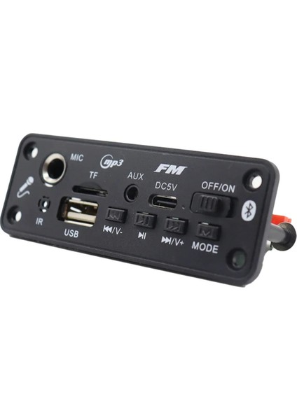 6W Bluetooth Amplifikatör Mp3 Dekor Kodlayıcı Kartı Mikrofon Araç Mp3 Oyuncu USB Kayıt Fm Radyo Aux Hoparlör Handfree Ses Için (Yurt Dışından) fiyatları