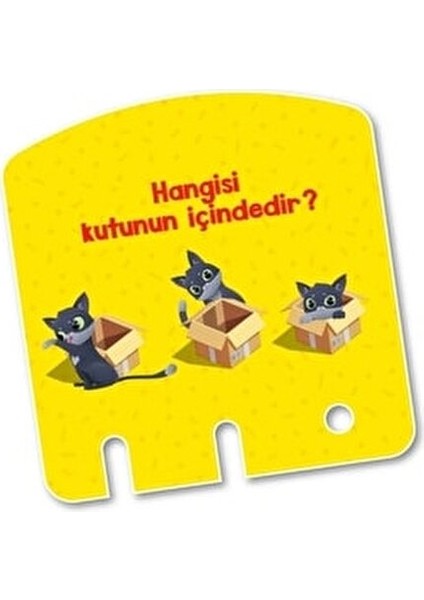 Zeka Kutusu Konuşma ve Dikkat Geliştirici Eğitici Oyun 1 Adet 2-4 Yaş Erkek Çocuklar İçin