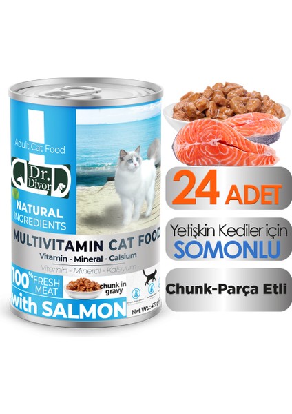 Dr. Diyor Somonlu Yetişkin Kedi Maması 24 Adet