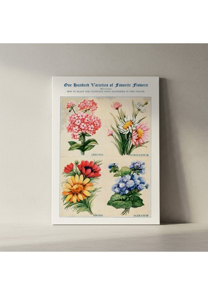 Vintage Botanik Illüstrasyon Tablosu fiyatları