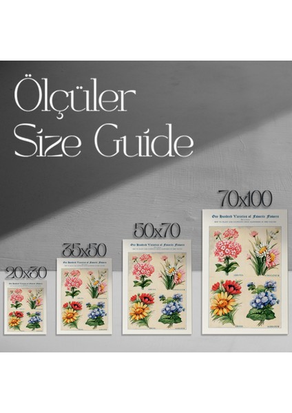 Vintage Botanik Illüstrasyon Tablosu modelleri