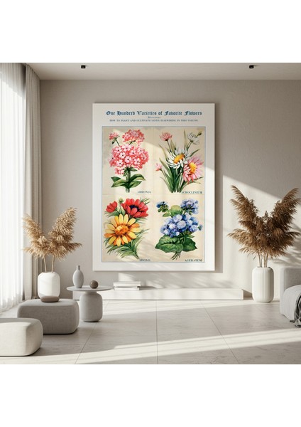 Vintage Botanik Illüstrasyon Tablosu fırsatları