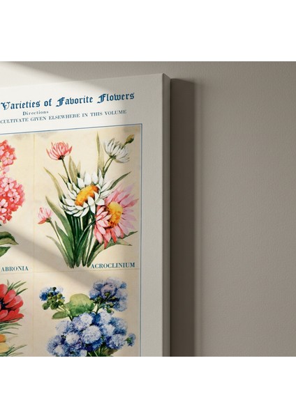 Vintage Botanik Illüstrasyon Tablosu indirimleri