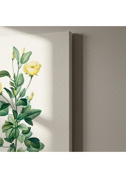 Sarı Çiçekli Bitki Botanik Illüstrasyon Tablosu indirimleri