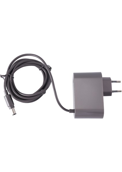 Dyson Vakum Süpürge Şarj Cihazı Için DC30 DC31 DC34 DC35 DC44 DC45 DC56 DC57 Güç Adaptörü Ab Fişi (Yurt Dışından)
