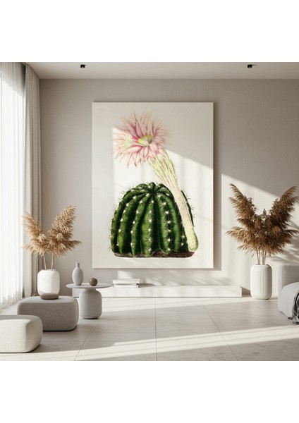 Vintage Kaktüs Çiçeği Botanik Illüstrasyon Tablosu fırsatları