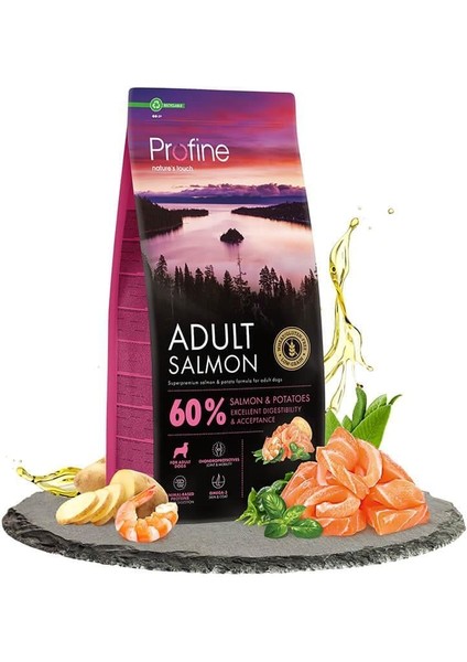 Tahılsız Glutensiz Somonlu Yetişkin Köpek Maması 12 kg (STT:04/2026)