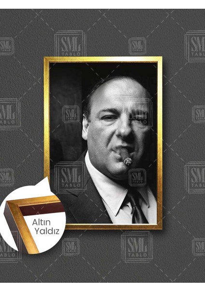 The Sopranos Dizi Tony Soprano James Gandolfini Karizma Çerçeveli Dikey Kanvas Tablo