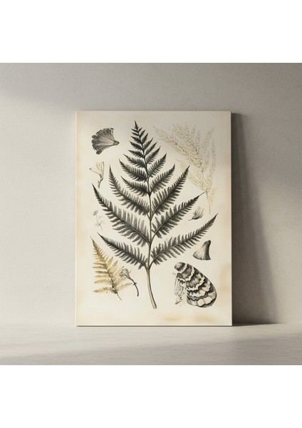 Botanik Illüstrasyon Tablosu: Eskiz Tarzı Eğrelti Otu ve Kelebek Baskısı fiyatları