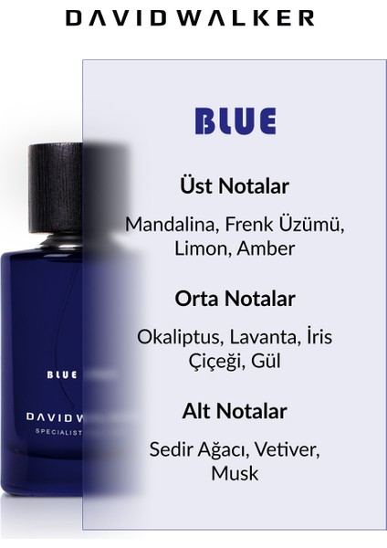 Unique Blue 1987 Unisex Parfüm 100 ml fiyatları