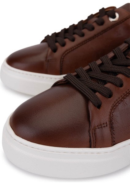 Kadın Hakiki Deri Taba Sneakers & Spor Ayakkabı 04 502 Bn Ayk Y25 Taba modelleri