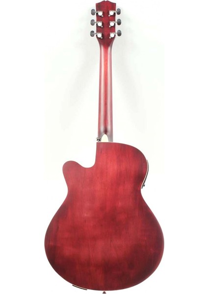 AFG200CE-TRD Elektro Akustik Gitar modelleri