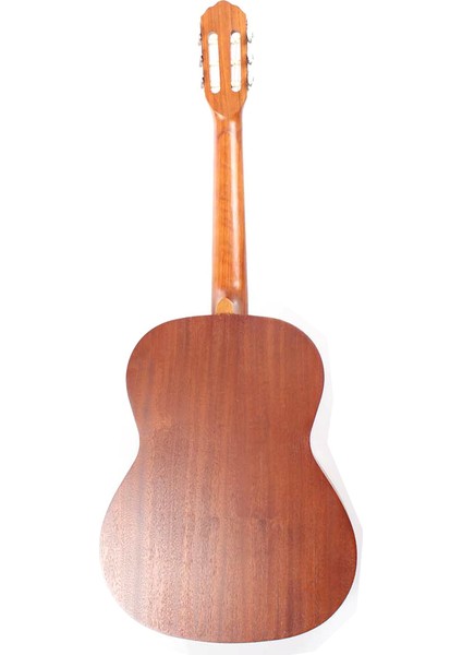 ACG200-M Klasik Gitar modelleri