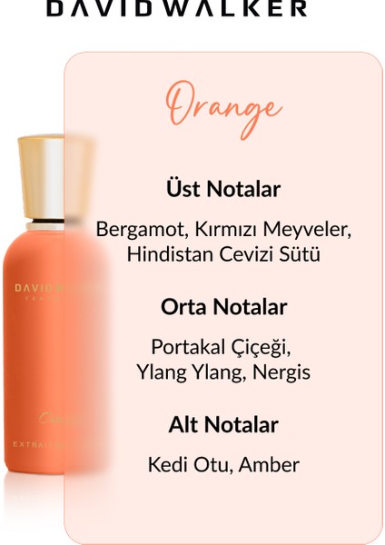Special Orange Kadın - Erkek Parfüm 50 ml fiyatları