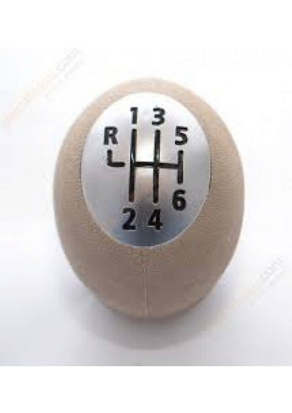 Zengezur 6R067 Vites Topuzu Mgn Iii-Scenic Ym. Bej-Krom