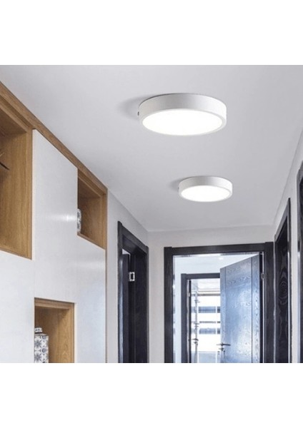 Cata Ct 5273 LED Spot 30W 6400K Beyaz Işık