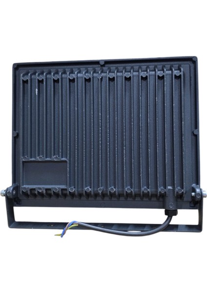 LED Projektör 100W 6500K fiyatları