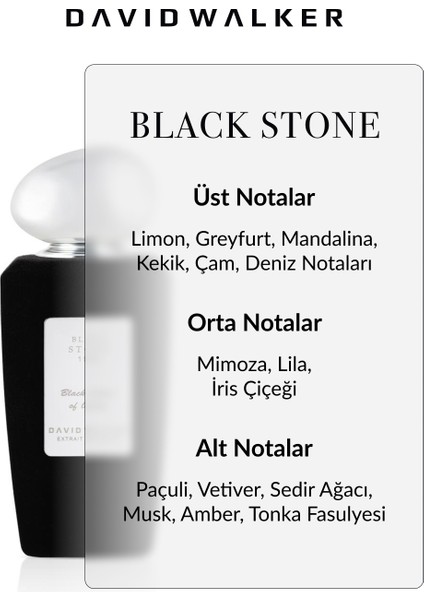 Flok Series Black Stone 1982 100ml Parfüm fiyatları