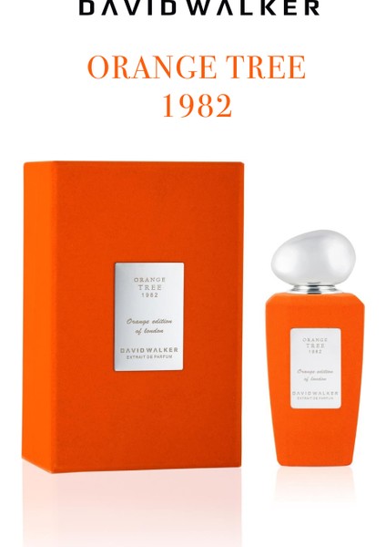Flok Series Orange Tree 1982 100ml Parfüm