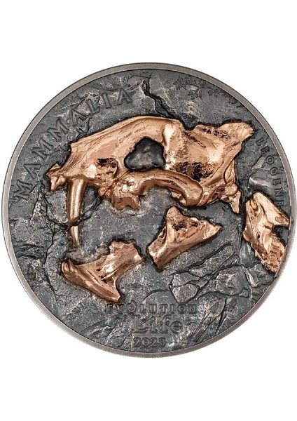 Nimravidae Evrimi 2023 1 Ons Gümüş Sikke Coin