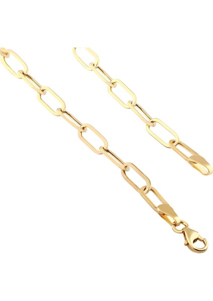 Agakulche Ataç 4 mm Altın Zincir