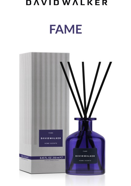 Fame Ortam Kokusu 250ml fiyatları