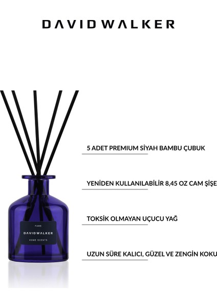 Fame Ortam Kokusu 250ml modelleri