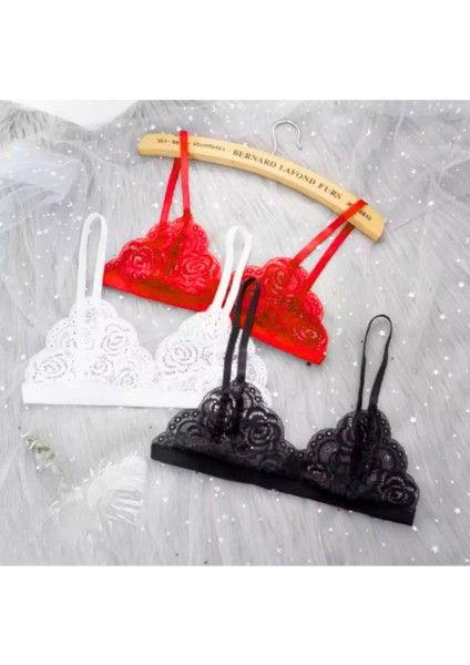 Büyük Beden Fantezi 3'lü Seksi Dantel Sütyen Seti BRF279257-B fiyatları