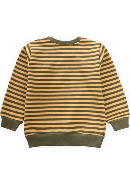 Çizgili Triko Sweatshirt 0-4 Yaş Hardal Haki modelleri