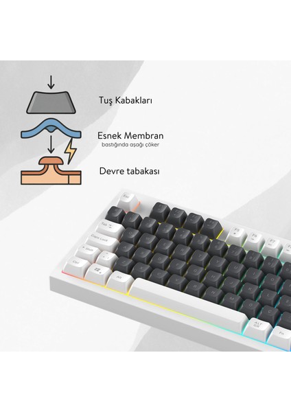 Kb-98 Sılent Tkl Gri Beyaz/mavi Rainbow Q Membrane Klavye modelleri