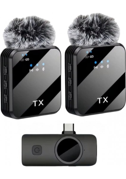 ZR1027 F12 Type-C Ikili Mikrofon