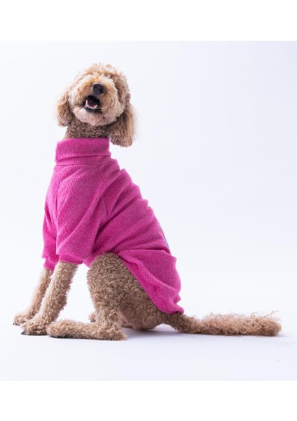 Fuşya Pooh's Ashdown Piglet Köpek Sweati Köpek Kıyafeti Orta-Büyük Irklar Için fırsatları