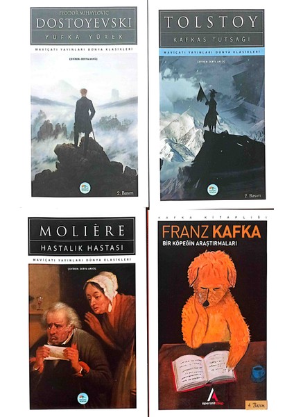 Dünya Klasikleri 10 Kitap modelleri