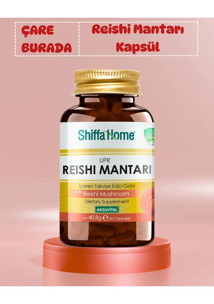 Reishi Mantarı Kapsül 60 Adet