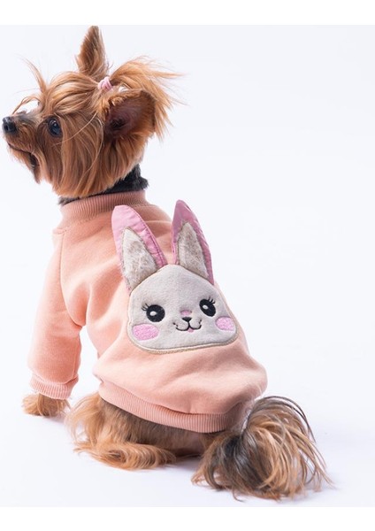 Pembe Dublin Hopper Tavşan Kulaklı Kedi Köpek Sweat- Kedi Köpek Kıyafeti