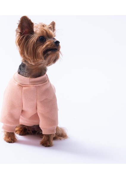 Pembe Dublin Hopper Tavşan Kulaklı Kedi Köpek Sweat- Kedi Köpek Kıyafeti modelleri