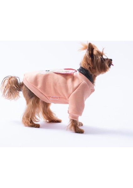 Pembe Dublin Hopper Tavşan Kulaklı Kedi Köpek Sweat- Kedi Köpek Kıyafeti fırsatları
