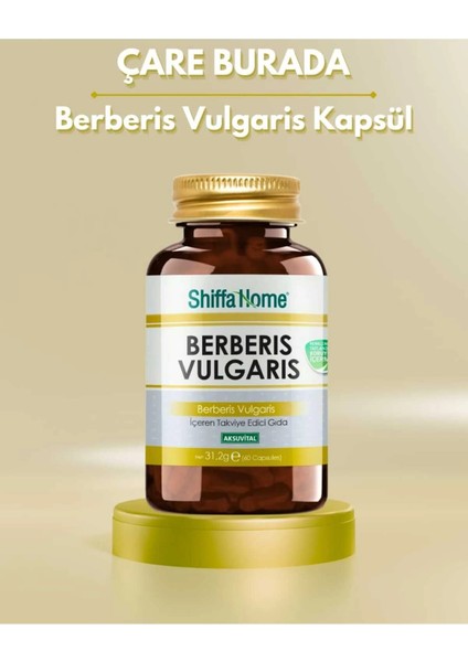 Berberis Vulgaris Kapsül (60 Kapsül)